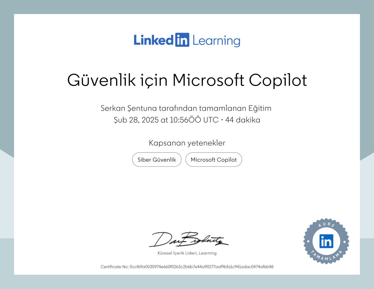 Güvenlik için Microsoft Copilot